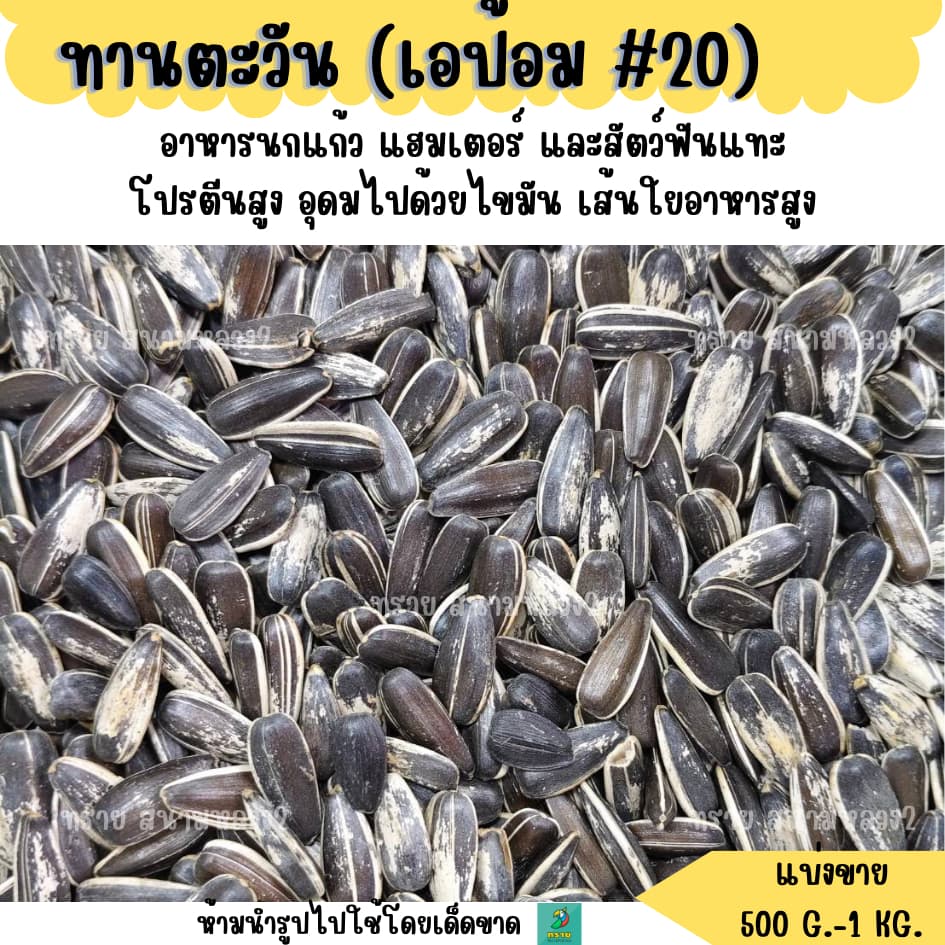 #20 ทานตะวัน เอป้อม เบอร์20 อาหารนกแก้ว อาหารแฮมเตอร์ และสัตว์ฟันแทะ รูปที่ 2