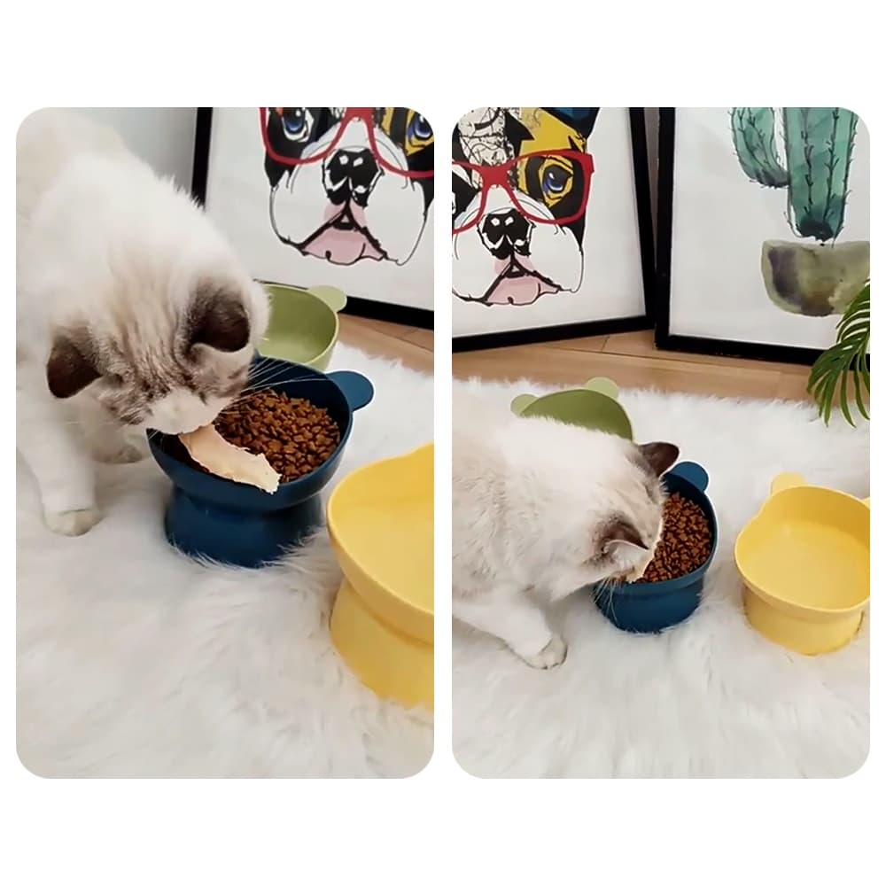 Petcho ชามอาหารสัตว์ ทรงเอียง ชามอาหารหมา ที่ใส่อาหารสัตว์เลี้ยง ชามสัตว์เลี้ยง อุปกรณ์ให้อาหารสัตว์ เอียง 15 องศา รูปที่ 2