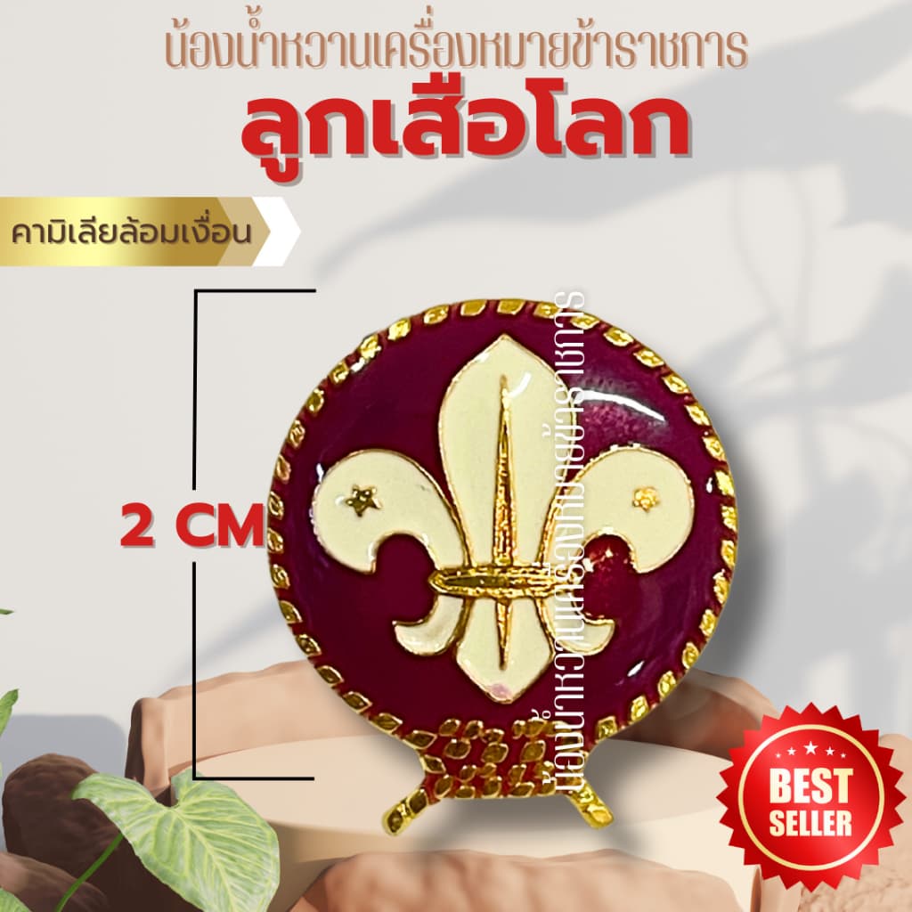 เข็มลูกเสือโลก เข็มผู้กำกับ รองผู้กำกับลูกเสือ เข็มลูกเสือโลก ตราลูกเสือโลก รูปที่ 6