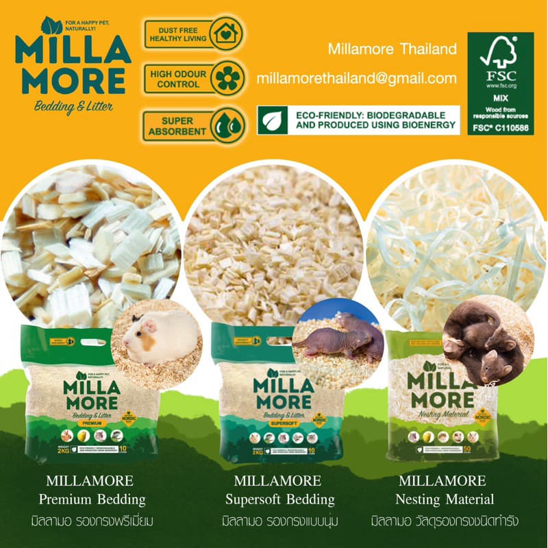Millamore Premium Bedding 4 Kg / 10kg มิลลามอ รองกรงพรีเมี่ยม รองกรงไม้แอสเพน รองกรงไร้ฝุ่น รูปที่ 6