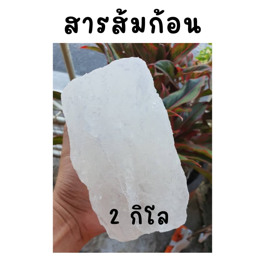 สารส้ม 2 กิโลกรัมชนิดก้อน แกว่งน้ำใส ระงับกลิ่นกาย สารแกว่งน้ำ สารส้มละลายน้ำล้างถั่วงอก รูปที่ 2