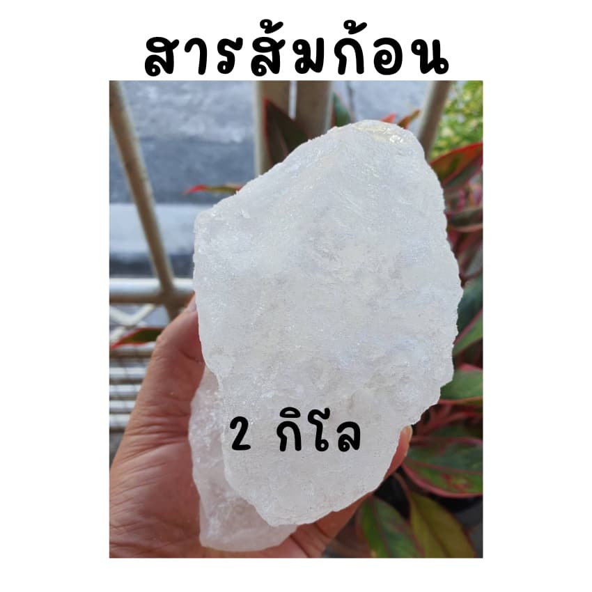 สารส้ม 2 กิโลกรัมชนิดก้อน แกว่งน้ำใส ระงับกลิ่นกาย สารแกว่งน้ำ สารส้มละลายน้ำล้างถั่วงอก รูปที่ 4