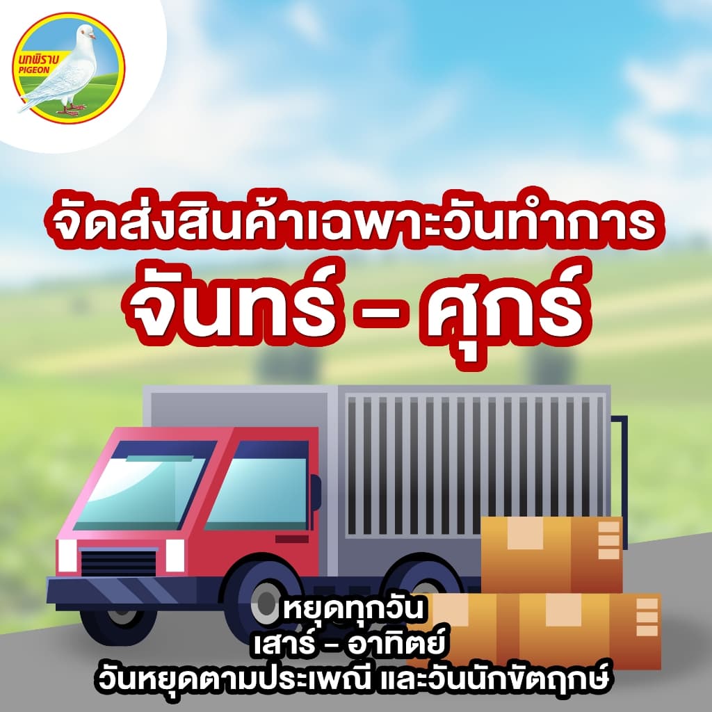 ผักกาดดองเค็ม ฮั่วน่ำฉ่าย ตรานกพิราบ ฝาดึง ขนาด 140 กรัม แพ็ค 6 กระป๋อง รูปที่ 5