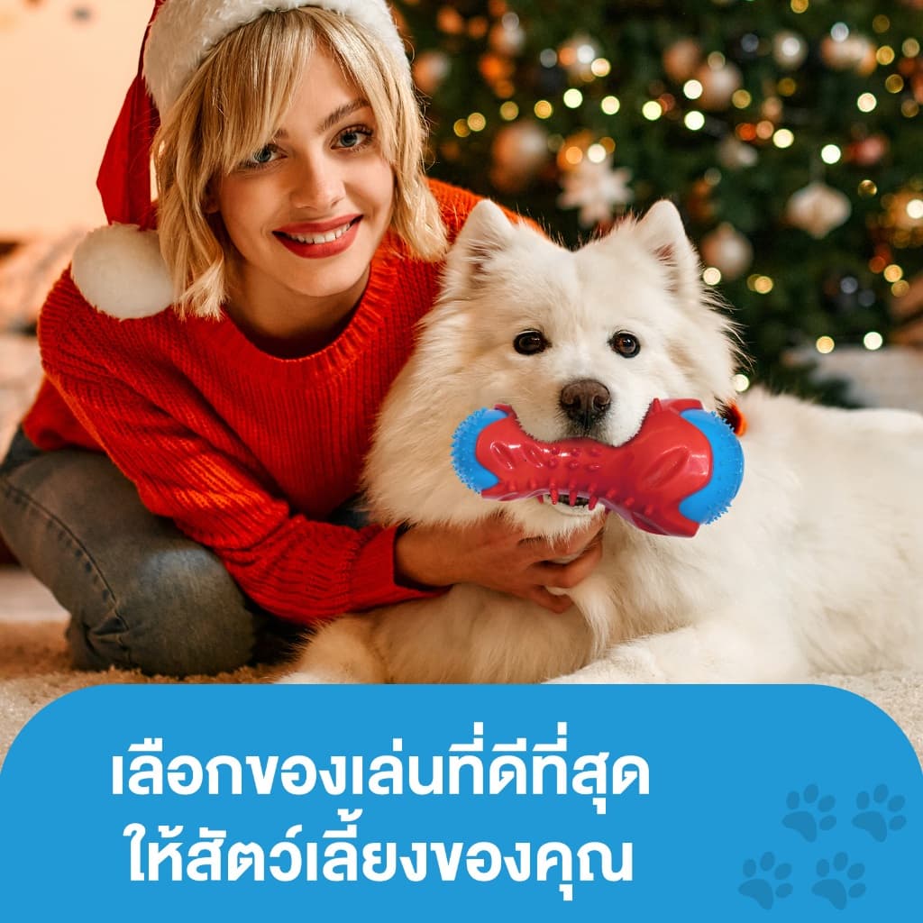 MOMOVIDA ของเล่นสัตว์เลี้ยง ของเล่นยางกัด ของเล่นให้อาหารสัตว์ ทนต่อการกัด ช่วยขัดฟัน ฝึกทักษะ ของเล่นสุนัข รุ่น DF-1 รูปที่ 9