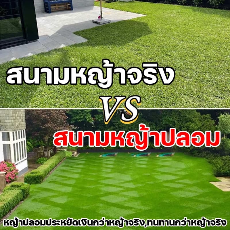 35พินหนาแน่นขึ้น หญ้าเทียม ขนาดคงที่ 2*5 ม หญ้าเทียมปูพื้น หญ้าเทียมยกม้วน ขนาดอื่นๆสามารถเข้าร้านเลือกได้ รูปที่ 7
