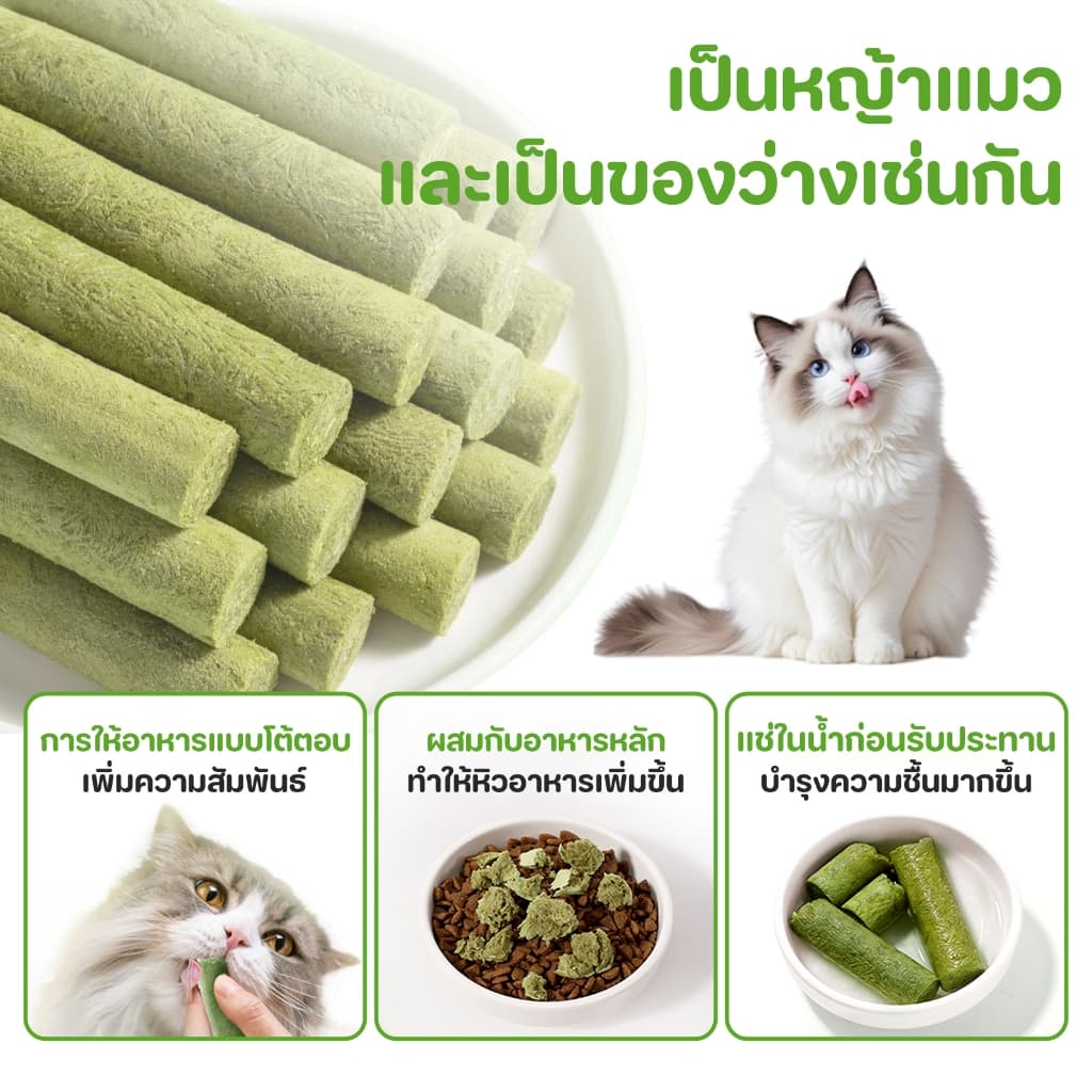 หญ้าแมวฟรีซดราย หญ้าแมวแห้ง ต้นอ่อนข้าวสาลี หญ้าแมวแท่ง ขนมหญ้าแมว ผลิตจากต้นอ่อนข้าวสาลี รูปที่ 2