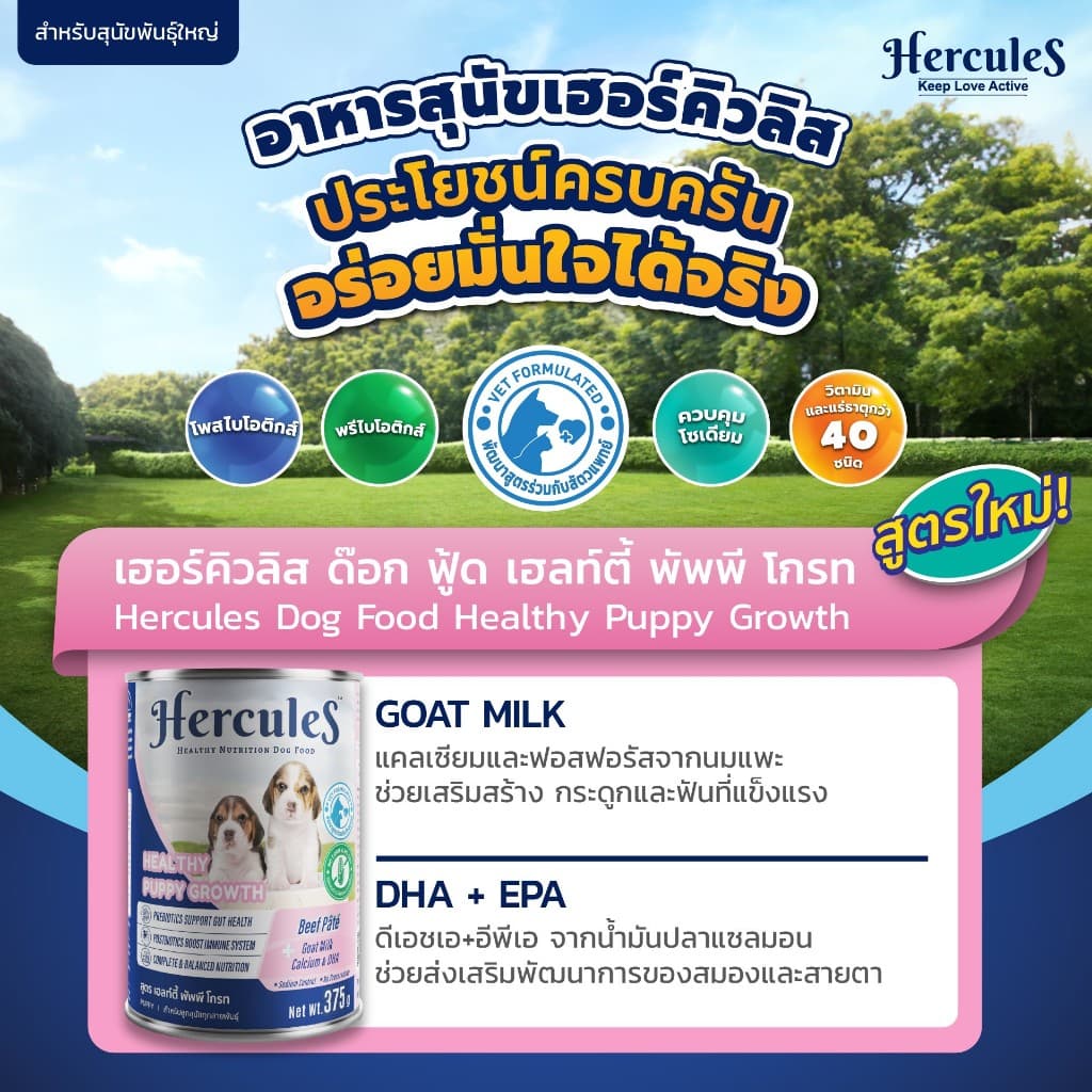 Hercules เฮอร์คิวลิส อาหารสุนัข กระป๋อง ขนาด 375 กรัม รูปที่ 3