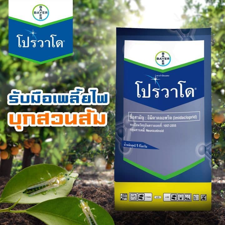 ยกกล่อง 25 ซอง โปรวาโด 70% WG ใช้ป้องกันกำจัดเพลี้ยไฟ เพลี้ยจักจั่น เพลี้ยไก่แจ้ เพลี้ยแป้ง รูปที่ 4