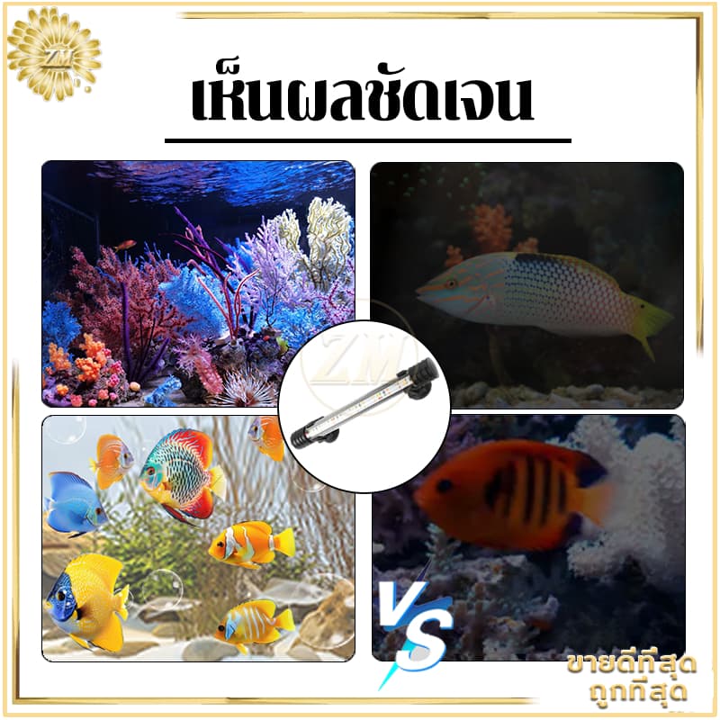 ไฟกันน้ำตู้ปลา ไฟตู้ปลา หลอดไฟใต้น้ำ สำหรับตู้ปลา สามารถแช่น้ำได้ ทำให้ความมันวาวงดงามมากขึ้น เหมาะสำหรับปลาประดับ รูปที่ 4