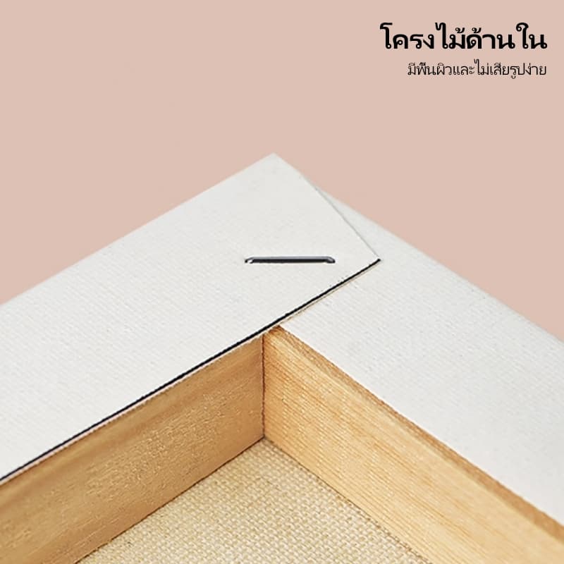 MW ระบายสีตามตัวเลข 20x20ซม มีเฟรม ภาพวาดตกแต่งอะคริลิก ของขวัญ DIY สำหรับเด็ก คู่ รูปที่ 4