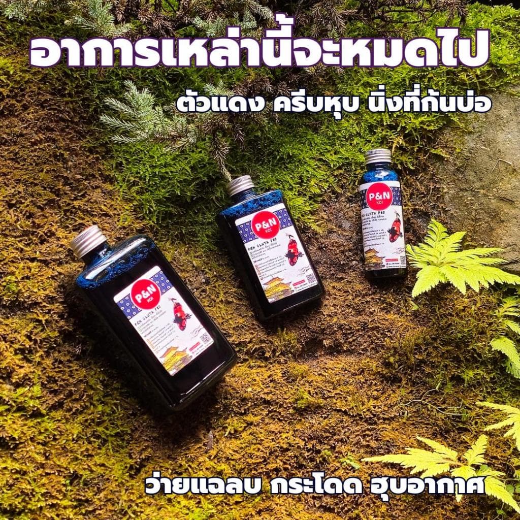 Gผลิตภัณฑ์สำหรับปลาคาร์ฟและปลาสวยงาม 100cc-500 cc รูปที่ 2
