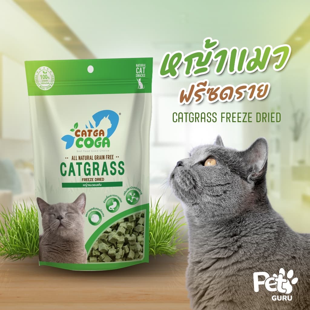Cat Grass ต้นอ่อนข้าวสาลีอบแห้ง รูปที่ 2