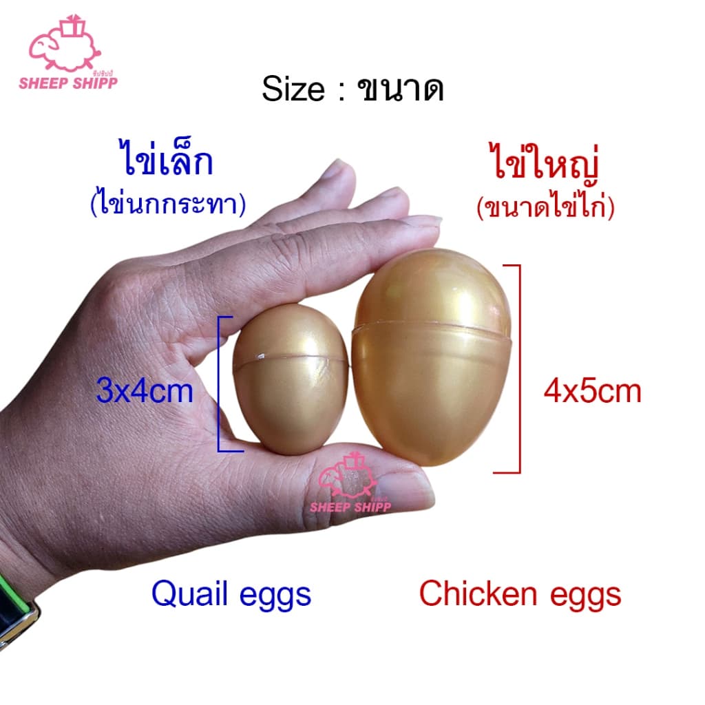 ไข่เงินไข่ทอง ไข่จับฉลาก ไข่ใหญ่เท่าไข่ไก่ ไข่เล็กเท่าไข่นกกระทา ตักไข่ ไข่พลาสติก ลอยน้ำได้ เล่นเกม รูปที่ 3
