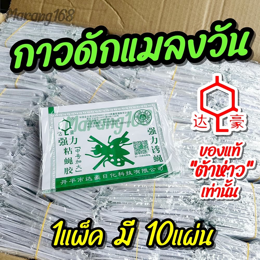 กาวดักแมลงวัน ยกลัง รุ่นกระดาษ แพ็ค ขายดี! รูปที่ 2