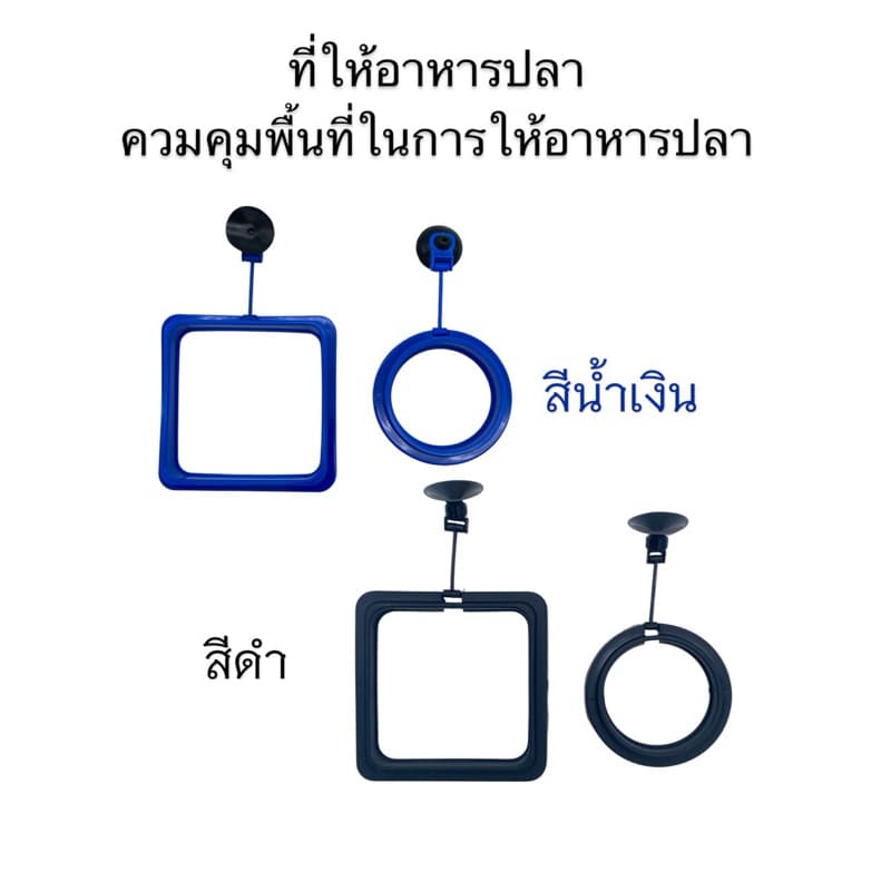 ที่ให้อาหารปลา ห่วงให้อาหารปลา ที่กักอาหารปลา รูปที่ 1