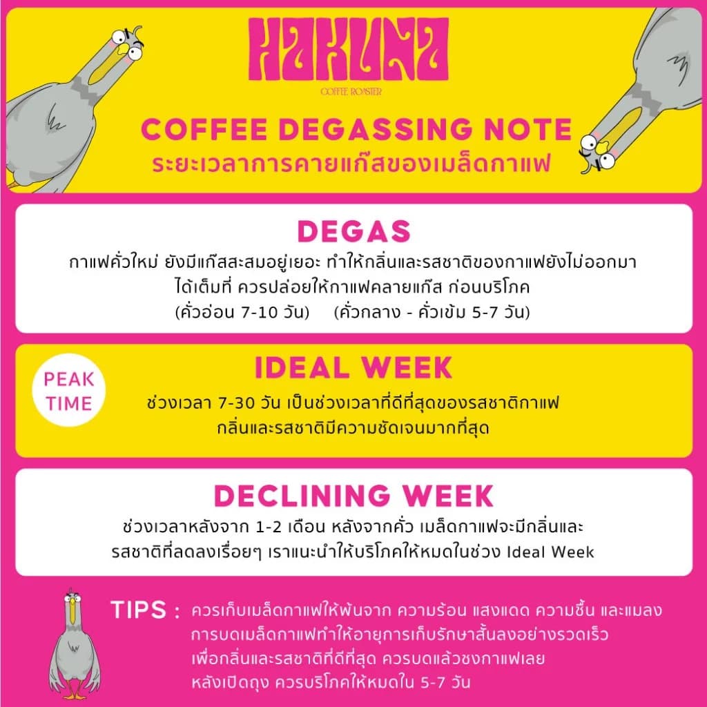 Hakuna Coffee Roaster เมล็ดกาแฟคั่วอ่อนกลาง หอมหมื่นลี้ Osmanthus อราบิก้า 100% รูปที่ 3