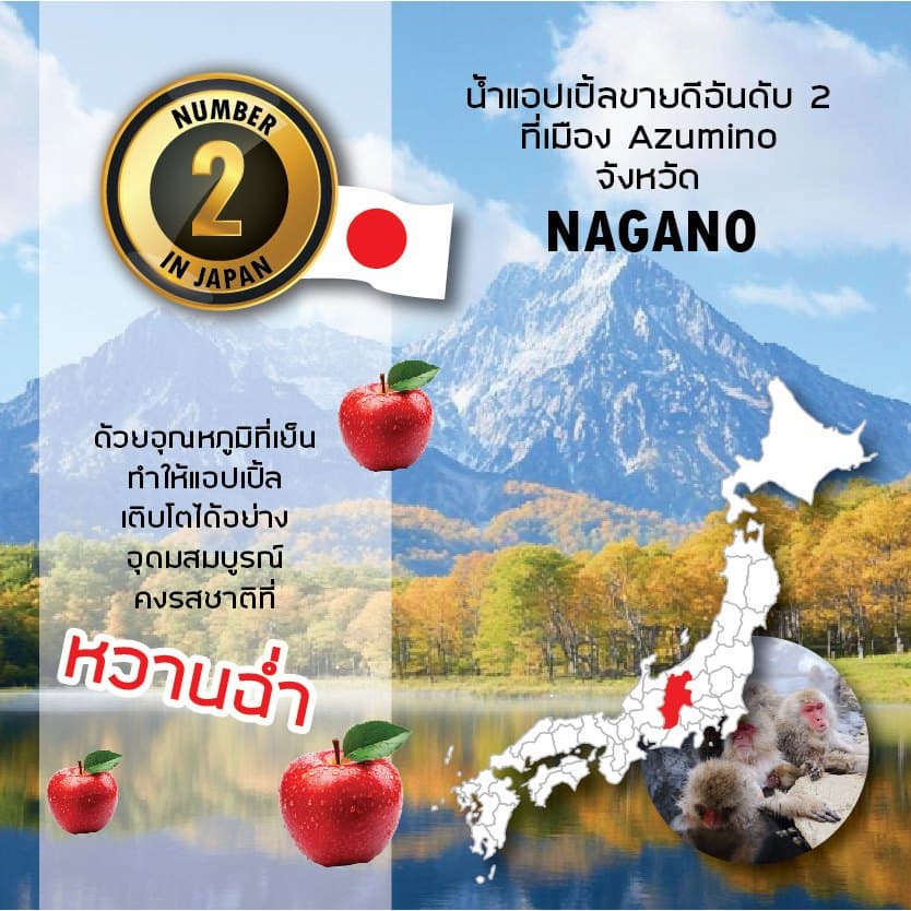 GOLD-PAK AZUMINO APPLE JUICE น้ำแอปเปิ้ลแท้100% จากอะซุมิโนะ ประเทศญี่ปุ่น 190ml x 6กระป๋อง รูปที่ 5
