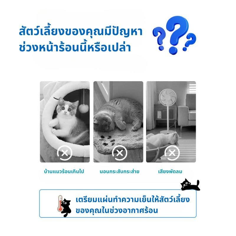 ที่นอนสำหรับสัตย์เลี้ยง สำหรับน้องหมาน้องแมว ที่นอนระบายอากาศ มี3ขนาด มีเนื้อผ้าที่ดี BJ3 รูปที่ 9