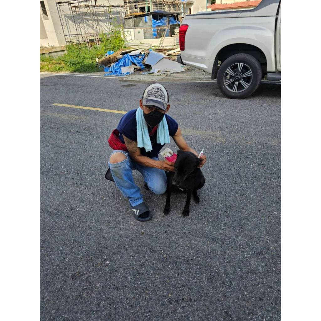 Green dog ยาหยดกำจัดและป้องกันเห็บ หมัด สำหรับสุนัข แมว และสัตว์เลี้ยง ขนาดน้ำหนัก 10 กิโลกรัม รูปที่ 6