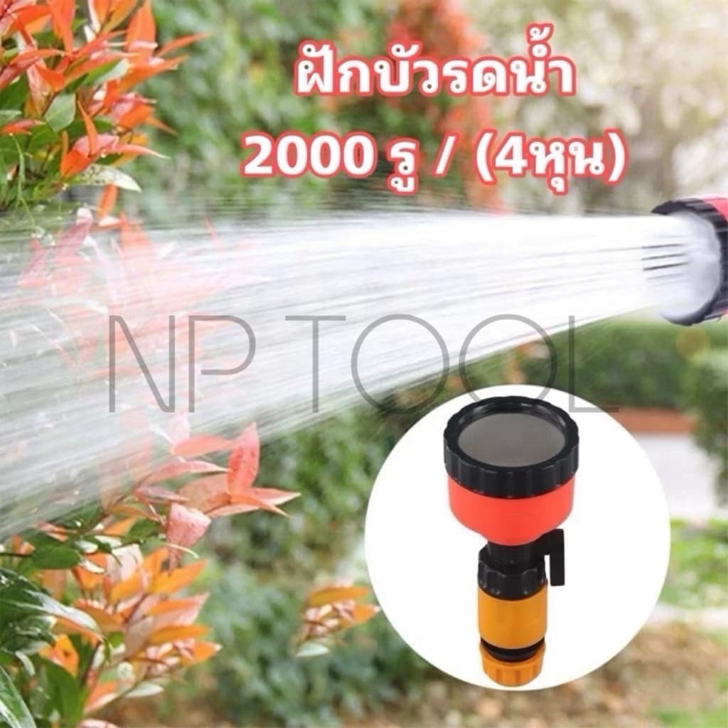 NP-63 ฝักบัวรดน้ำ 2000 รู ขนาด 4หุน ฝักบัวรดน้ำแคคตัส ฝักบัวรดน้ำบอนไซ ฝักบัวรดน้ำต้นไม้ รูปที่ 2