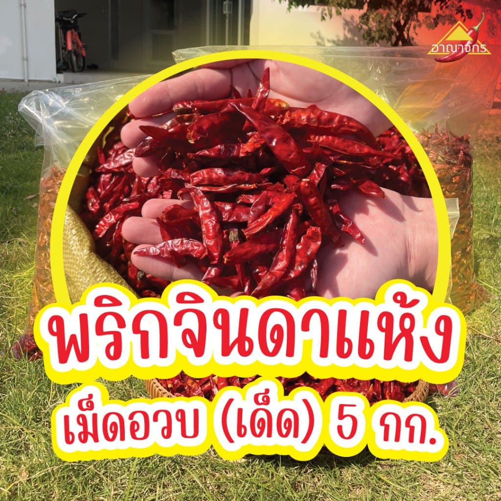 พริกแห้ง จินดา 5 กก. เม็ดอวบ ทำน้ำพริก ทำพริกแกง ทำพริกป่น และ อาหารอื่นๆ รูปที่ 5