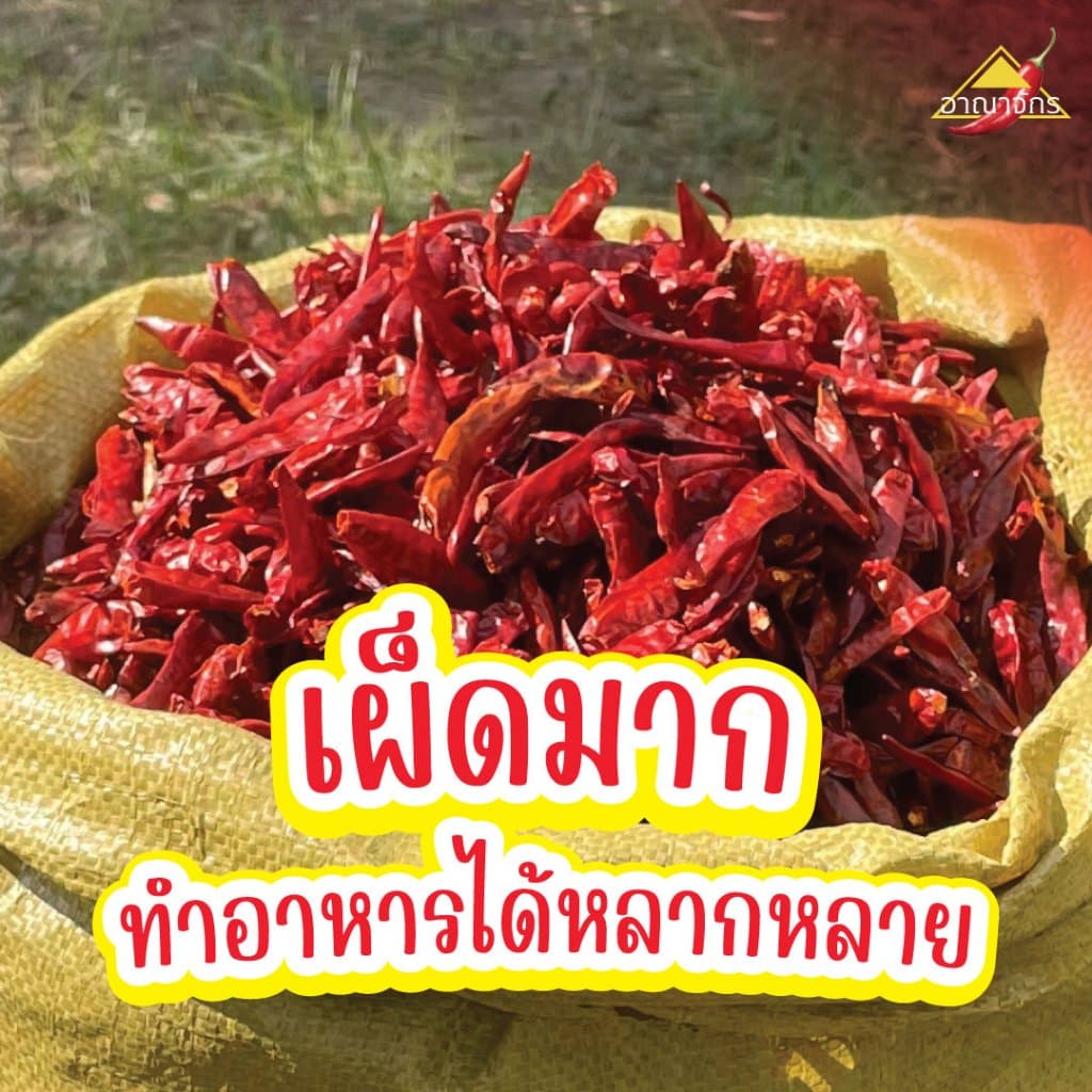 พริกแห้ง จินดา 5 กก. เม็ดอวบ ทำน้ำพริก ทำพริกแกง ทำพริกป่น และ อาหารอื่นๆ รูปที่ 8