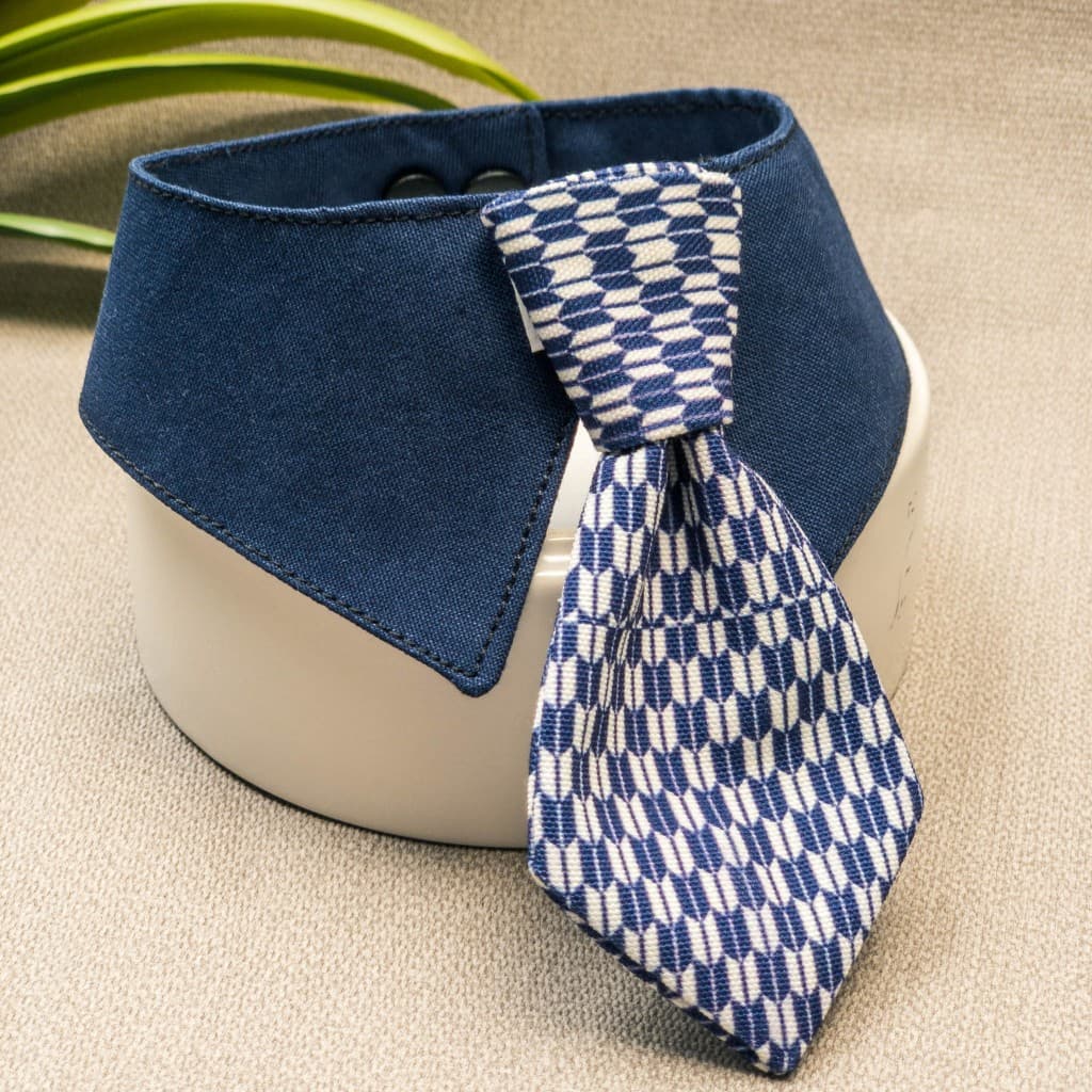 เนคไท น้องแมวน้องหมา ปลอกคอ รุ่น necktie ลายและสีสวย น้องใส่แล้วหล่อมาก ทำจากผ้า cotton รูปที่ 8