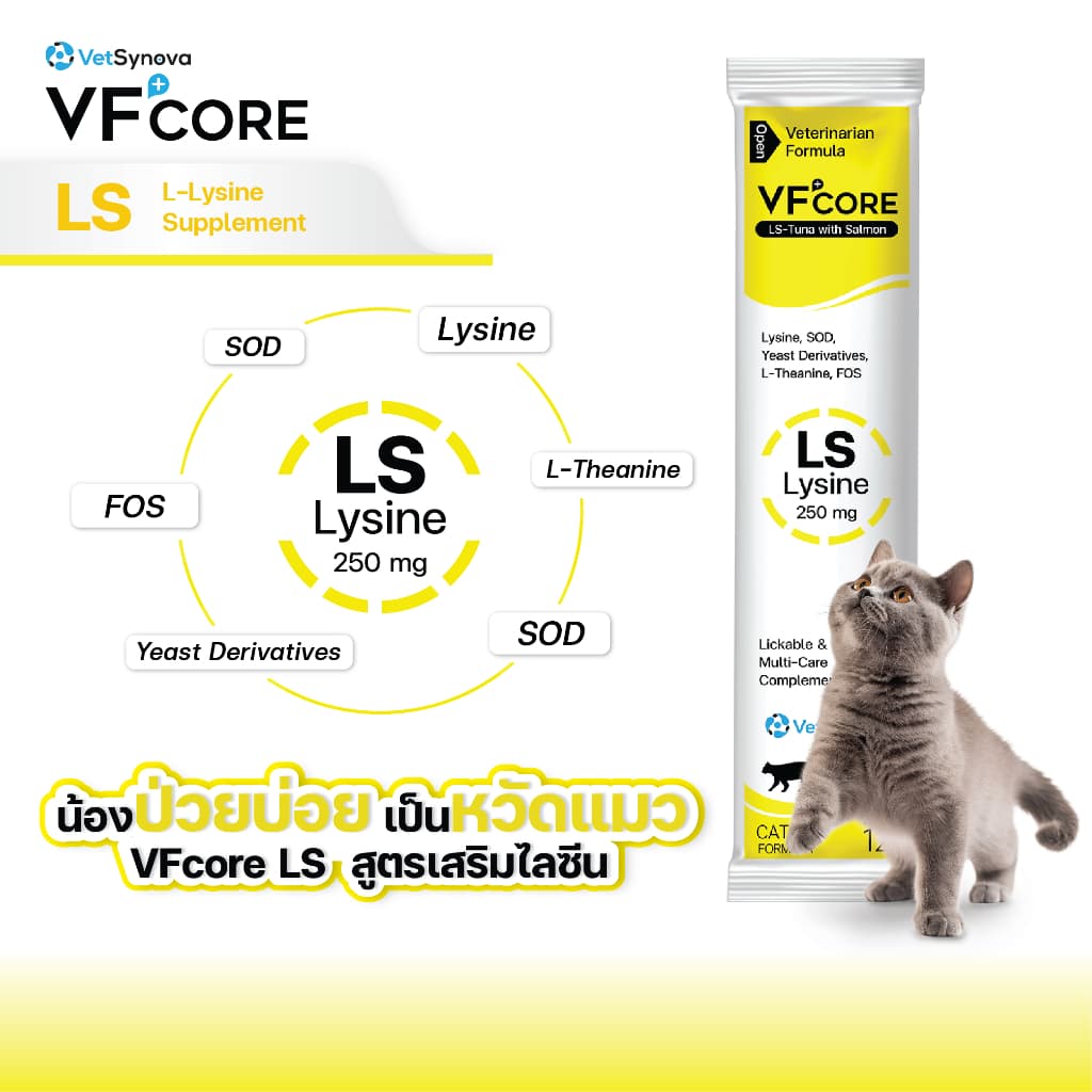 Cat Healthy Everyday VFcore LS x10 ซอง + Feline Vitality x10 ซอง รูปที่ 5
