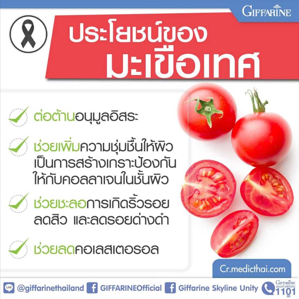 ไลโคปีน ไลโคพีน กิฟฟารีน มะเขือเทศ มะเขือเทศแคปซูล LYCOPENE GIFFARINE รูปที่ 4