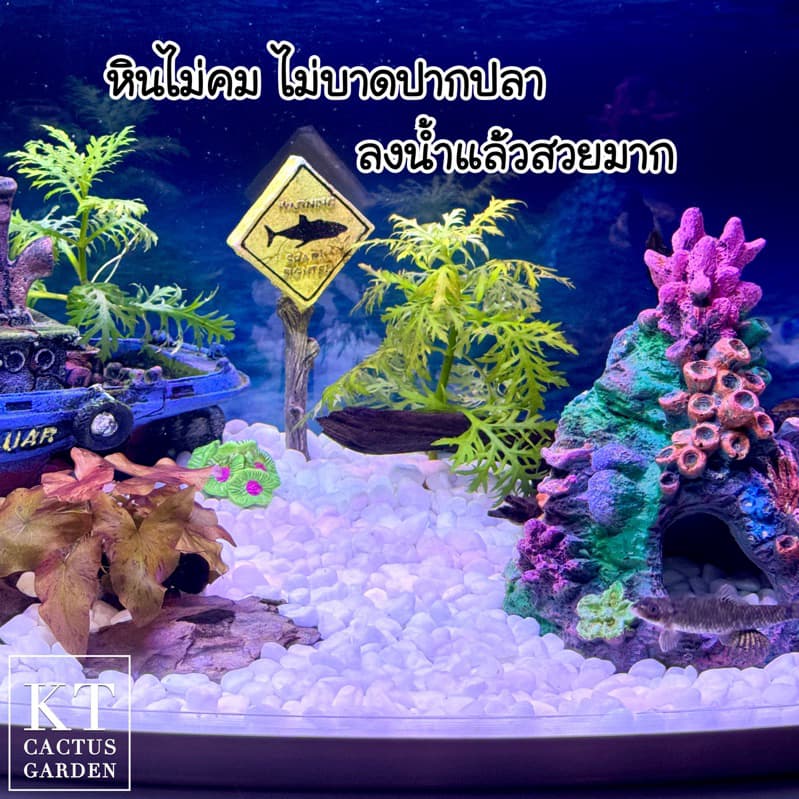 หินธรรมชาติ รองพื้นตู้ปลา แต่งตู้ปลา/ตู้ไม้น้ำ/โหลปลากัด รูปที่ 3