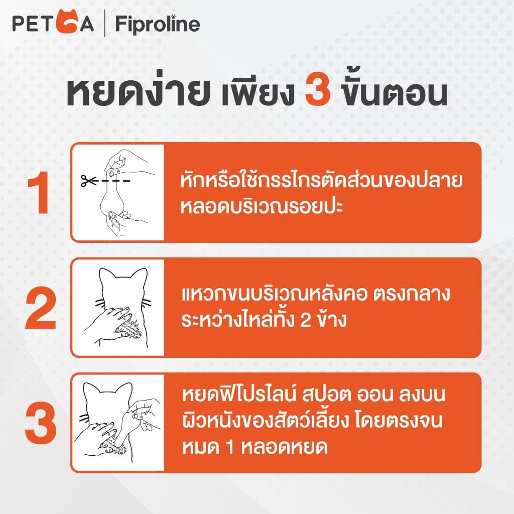 Fiproline Spot on สำหรับแมว กำจัดเห็บหมัดชนิดหยดหลัง รูปที่ 4