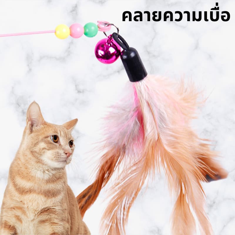 ไม้ตกแมว ของเล่นแมว ไม้แมว ไม้ล่อแมว ขอเล่นแมว ของเล่นเเมว หลากหลายสไตล์ ไว้ล่อแมว คลาดเครียดคลายเหงา รูปที่ 6