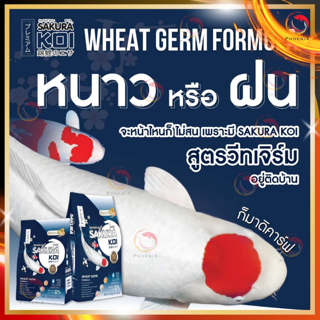 โปร +1กก.ในถุง หรือ แถมถุงเล็ก Sakura Koi อาหารปลาคาร์ฟ สูตร 2in1 เร่งโต+เร่งสี ขนาดถุง 6.5 kg. รูปที่ 9