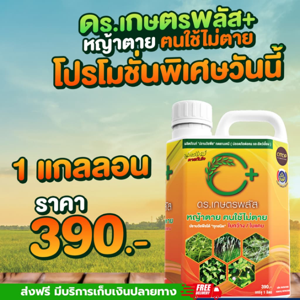 ปราบหญ้าทุกชนิดไม่มีสารเคมี ยาฆ่าหญ้า 1แกลลอน บรรจุ 1ลิตร ปลอดภัยต่อคนและสัตว์ รูปที่ 2