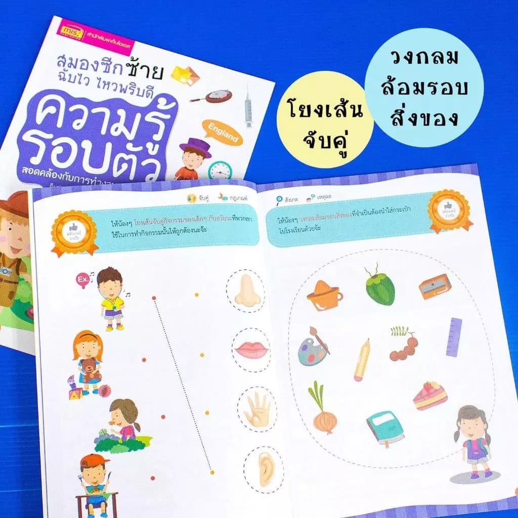 หนังสือชุดสมองซีกซ้าย-ซีกขวาฉับไว ไหวพริบดี ฟรี!!สติกเกอร์ในเล่ม แบบฝึกหัดสำหรับเด็ก เลือกเล่มได้ รูปที่ 6