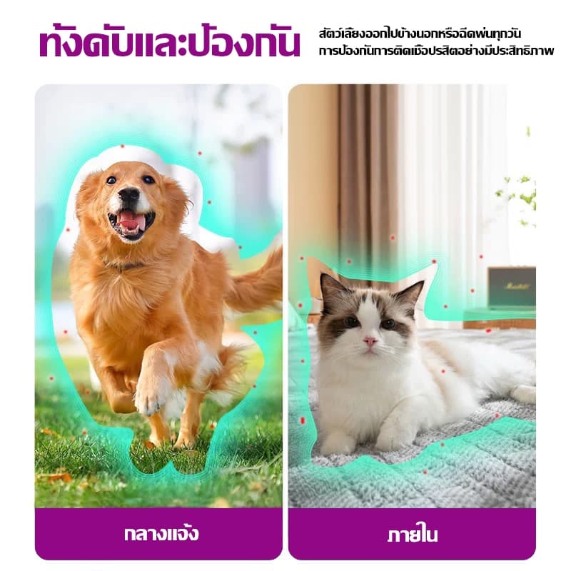 1วินาทีฆ่าเห็บหมัดกำจัดเห็บและหมัด 500ml กำจัดหมัดหมา กำจัดหมัดแมว กำจัดเห็บหมัด สูตรพืช ปลอดภัย ไม่ทำร้ายสัตว์เลี้ย รูปที่ 7