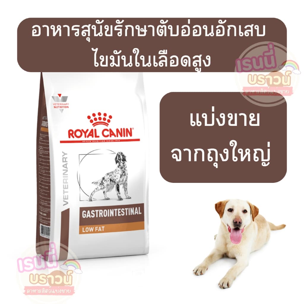 ส่งด่วนมาก อาหารสุนัขรักษาโรคทางเดินอาหารแบบเม็ด รูปที่ 1