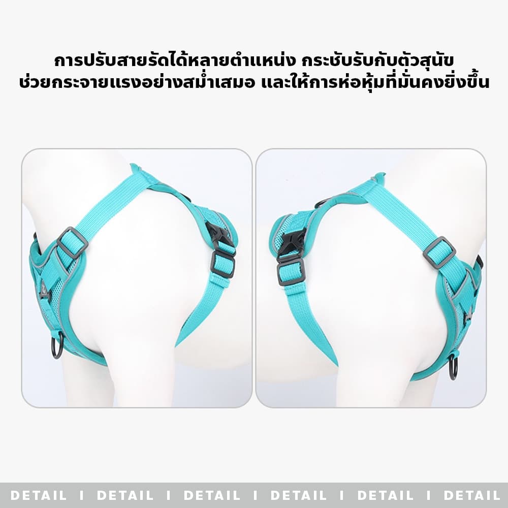 F2c สายรัดอกสุนัข สายจูงแมวสัตว์เลี้ยง ใหม่ สายจูงแมวเดินกลางแจ้ง ทนทาน รูปที่ 8