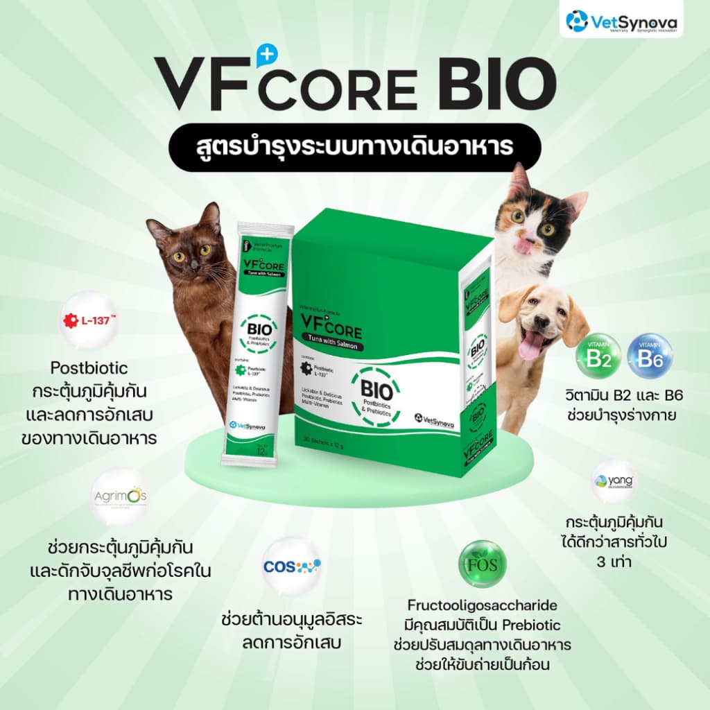 VF+Core วีเอฟ คอร์ เสริมสร้างและบำรุงสุนัขและแมว ตั้งแต่ 2 เดือนขึ้นไป ขนาด 12g. รูปที่ 6