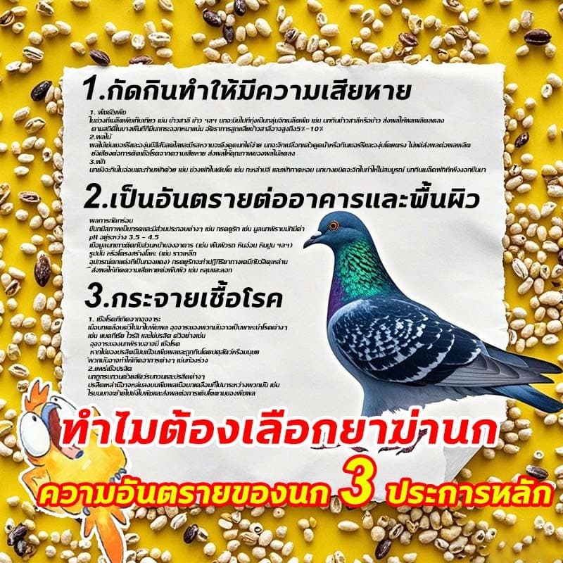 บอกลาขี้นกที่กวนใจเหยื่อกำจัดนก นำเข้าจากเยอรมัน ตายแห้งไม่เหม็น ยาเบื่อนก เหยื่อกำจัดนกพิราบ ยากำจัดนกพิราบ ไล่นก รูปที่ 2