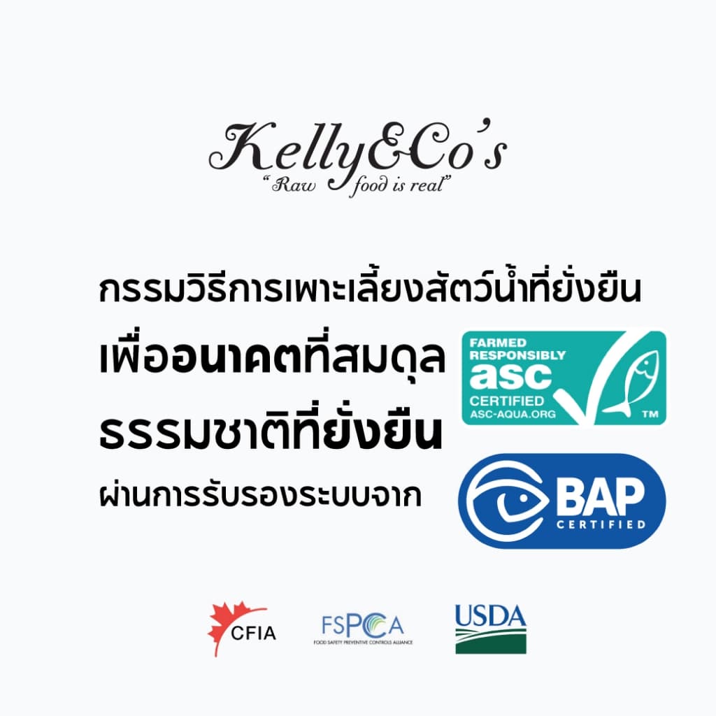 เคลลี่แอนด์โค ผงโปรตีน โรยอาหาร สูตรปลาแซลมอน สำหรับแมว เบื่ออาหารง่าย ช่วยให้ขนนุ่มสวย ขนาด 50 กรัม รูปที่ 7