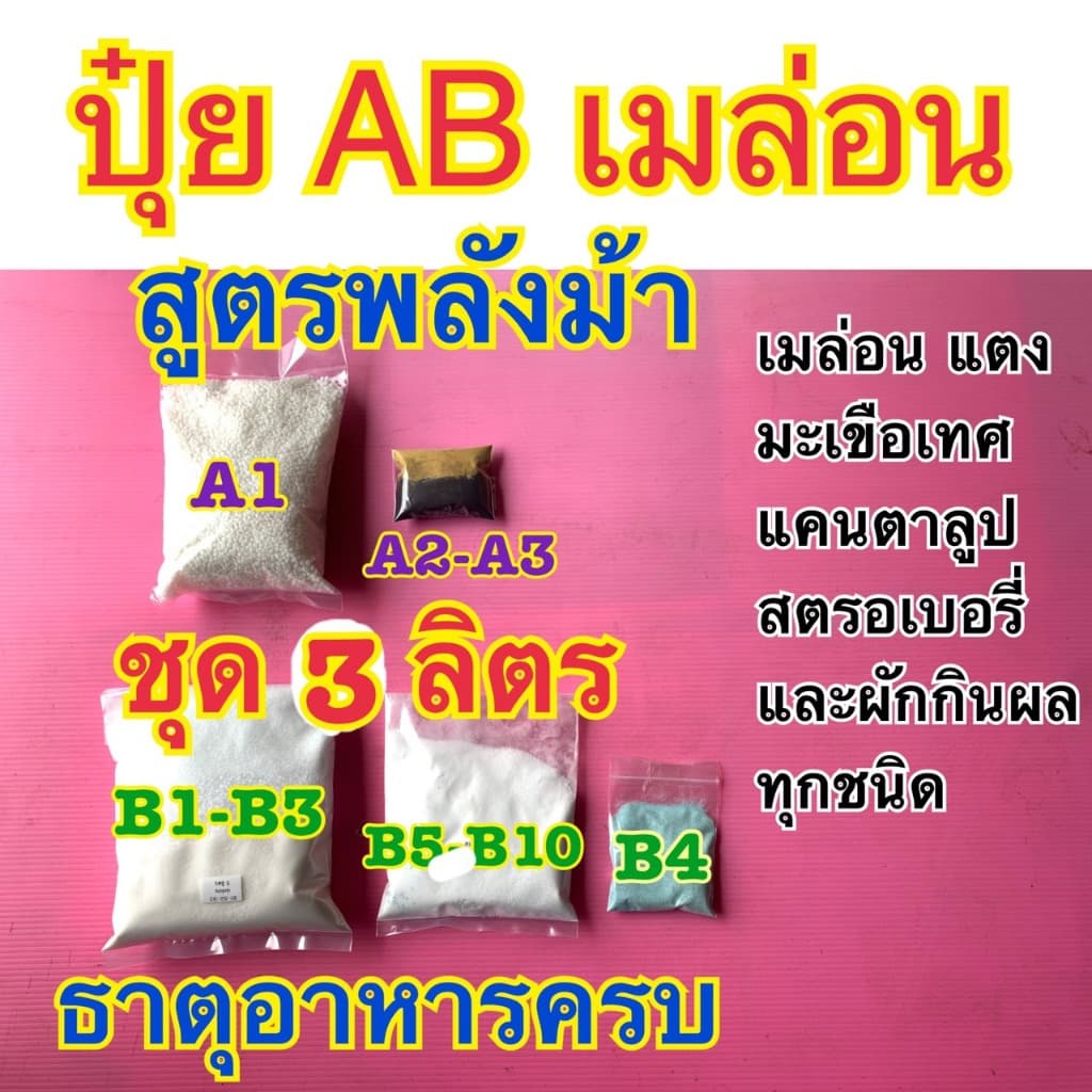 ปุ๋ย AB สูตรเมล่อน ปุ๋ยกันชา สูตรพลังม้า แคนตาลูป แตง มะเขือเทศ สตรอเบอรี่ และผักกินผลทุกชนิด ธาตุครบ ขนาด 1, 2, 3ลิตร รูปที่ 3