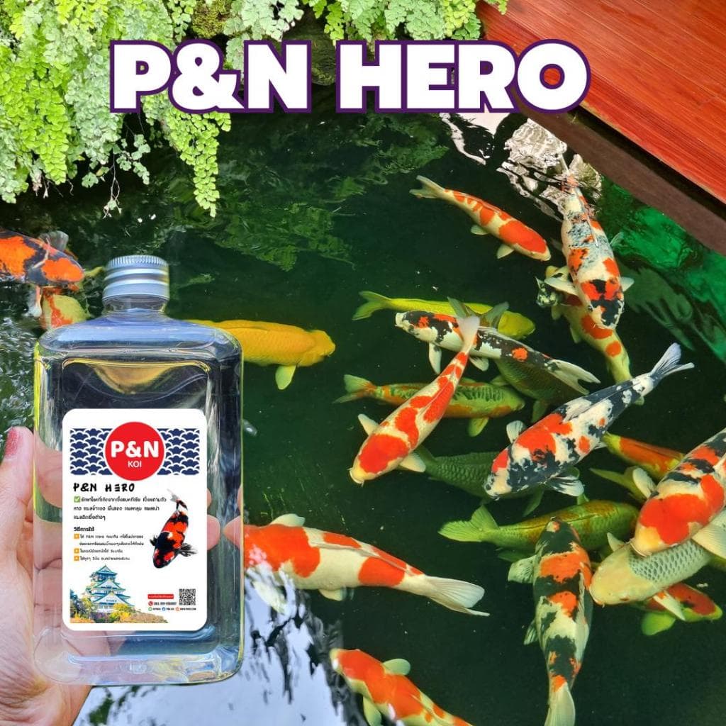 Hero ผลิตภัณฑ์สำหรับปลาคาร์ฟและปลาสวยงาม 100cc-500 cc รูปที่ 1