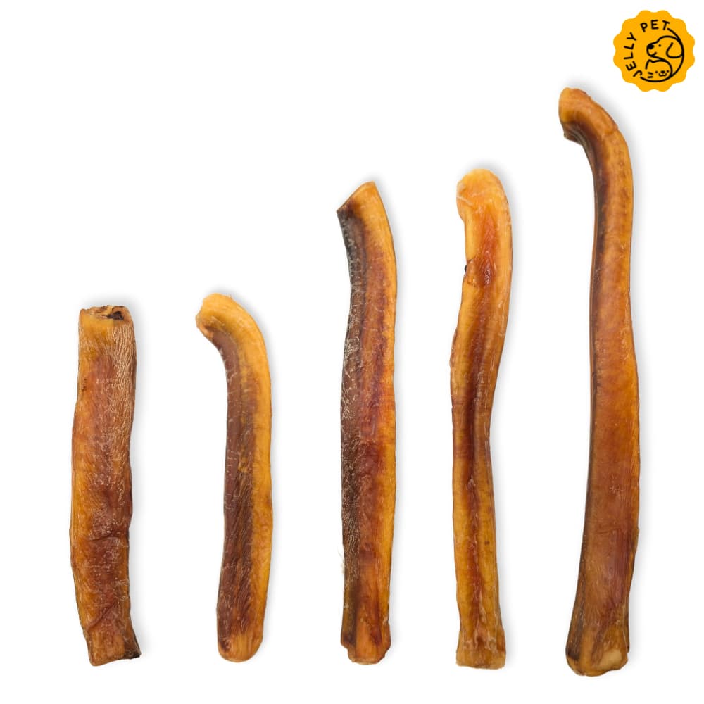 Jelly Pet Bully Stick ตัวเดียวอันเดียววัว ขนมขัดฟัน ขนมสุนัขสุขภาพ ขนมหมาสุขภาพ รูปที่ 3