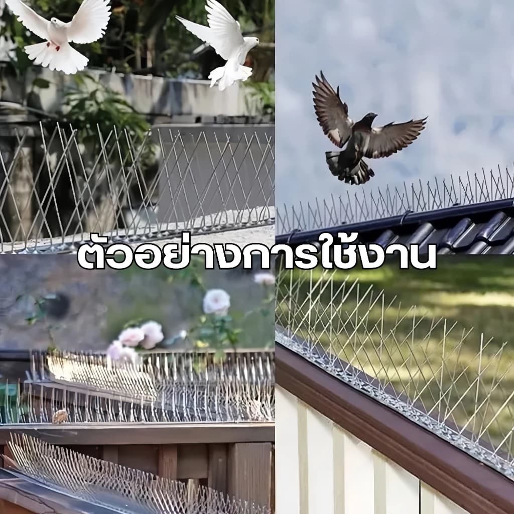 หนามกันนก กันนกเกาะ ยาวเส้นละ 50ซม. หนาม 30คู่ กันนกพิราบ อุปกรณ์ไล่นก ไล่นกพิราบ หนามไล่นก พลาสติก สแตนเลส รูปที่ 3