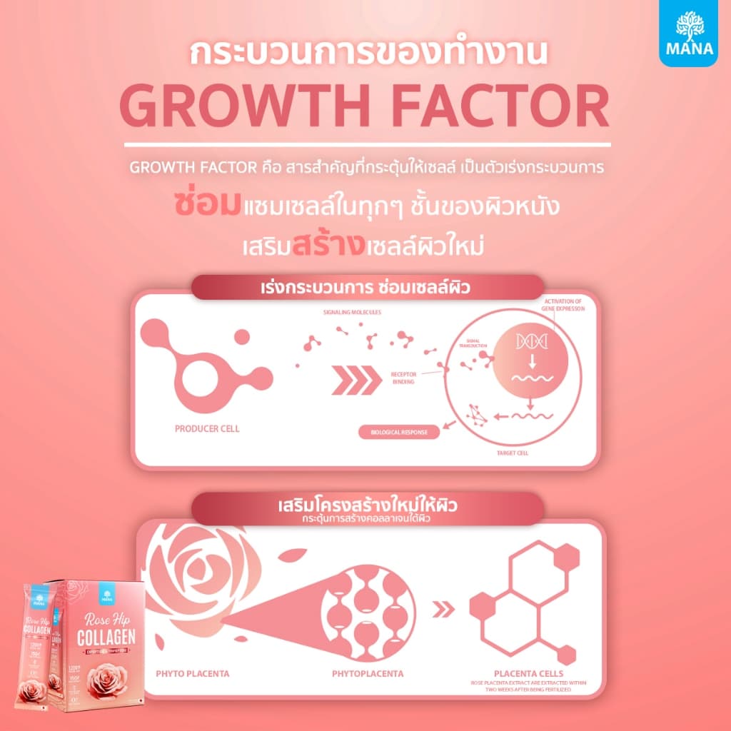 mana collagen ros hip มานาคอลลาเจน คอลลาเจนญาญ่า mana collagen rose hip mana รูปที่ 8