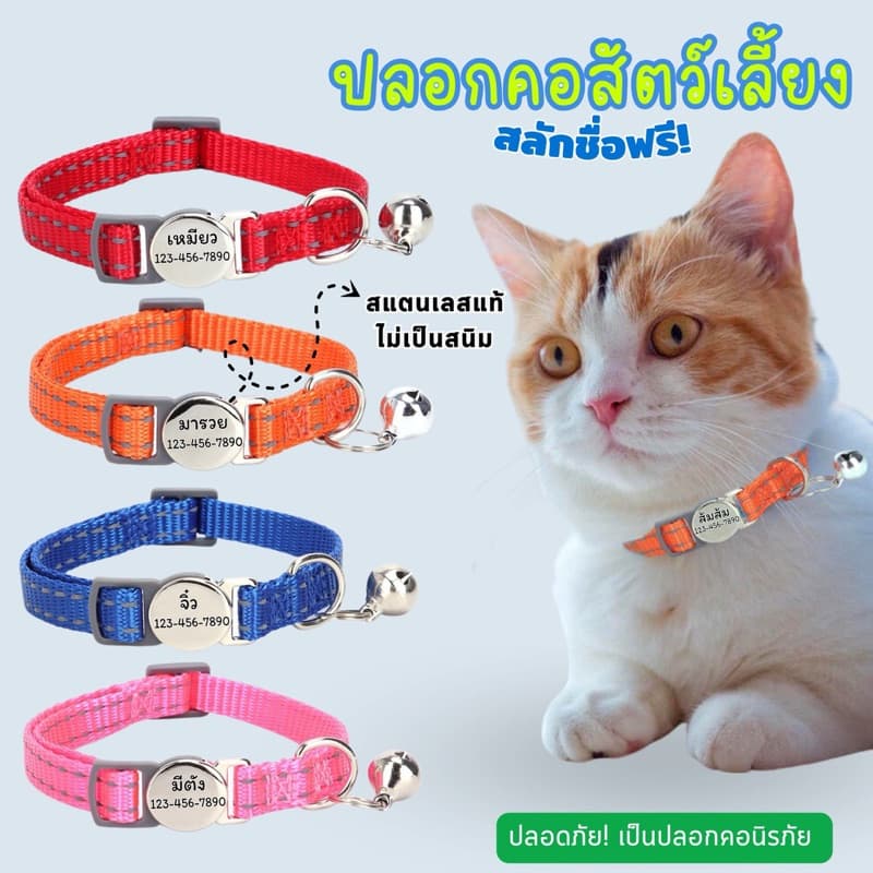pawlux pets ปลอกคอนิรภัย กำหนดชื่อได้ สแตนเลสแท้ไม่เป็นสนิม แกะสลักฟรี พร้อมกระดิ่ง ร้านไทย รูปที่ 1