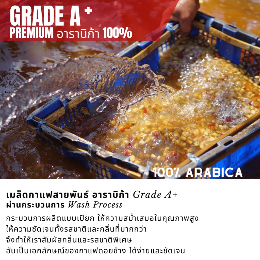 เมล็ดกาแฟดอยช้างเกรดพรีเมี่ยมA+ กาแฟอราบิก้า100 % คั่วใหม่ เมล็ดกาแฟสดคั่วบด สูตรเบลนด์อาราบิก้า คั่วกลาง+คั่วเข้ม 250g รูปที่ 3