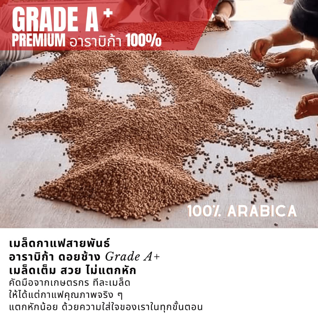 เมล็ดกาแฟดอยช้างเกรดพรีเมี่ยมA+ กาแฟอราบิก้า100 % คั่วใหม่ เมล็ดกาแฟสดคั่วบด สูตรเบลนด์อาราบิก้า คั่วกลาง+คั่วเข้ม 250g รูปที่ 5