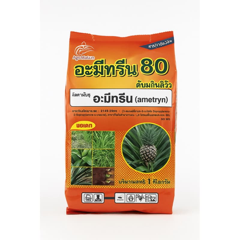 อะมีทรีน80 เม็ด ยกลัง 20ถุง ตราสิงห์หวีทอง รูปที่ 3